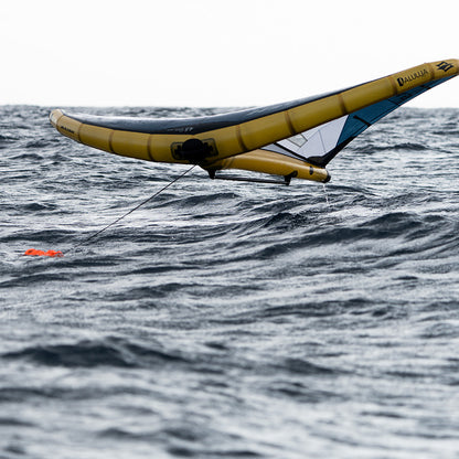  Naish Wing Anchor Leash